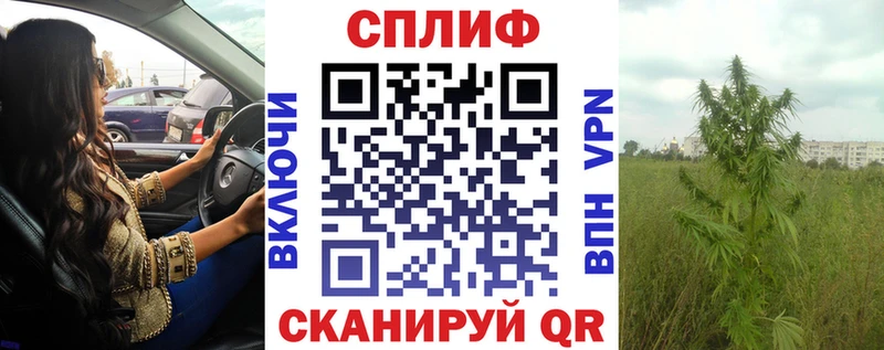 Где можно купить наркотики Щёлково Амфетамин  А ПВП  ГАШИШ  mega как зайти  Каннабис  COCAIN 