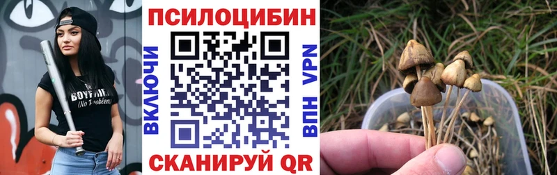 Галлюциногенные грибы Cubensis  MEGA   Щёлково 