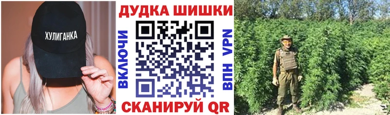 Конопля план Щёлково